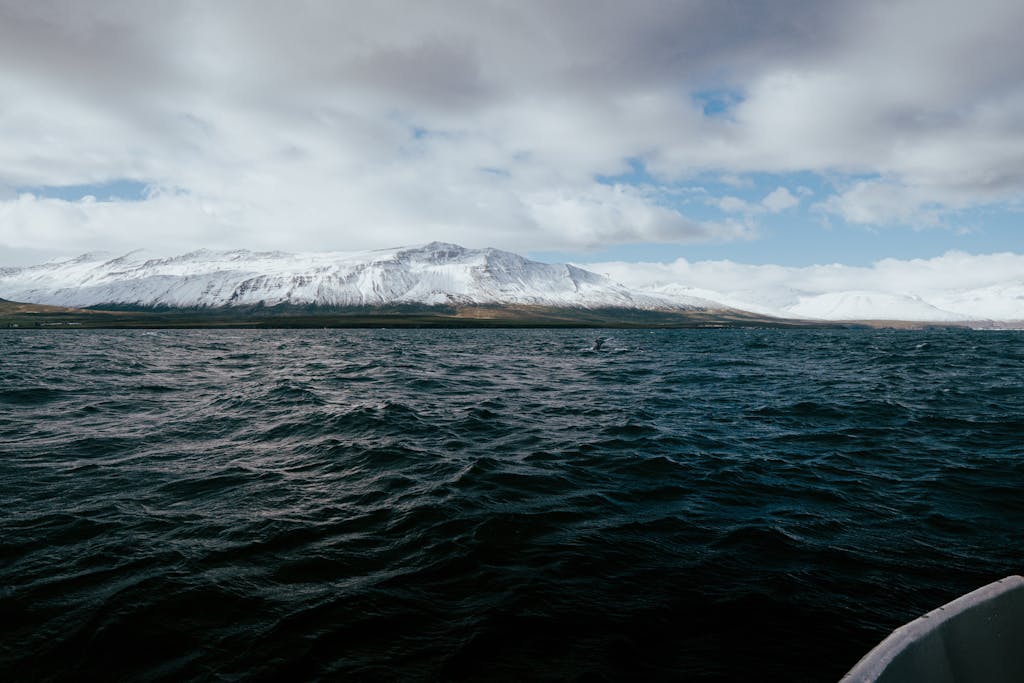 A serene view of snow-capped mountains and a fjord in Árskógssandur, Iceland.